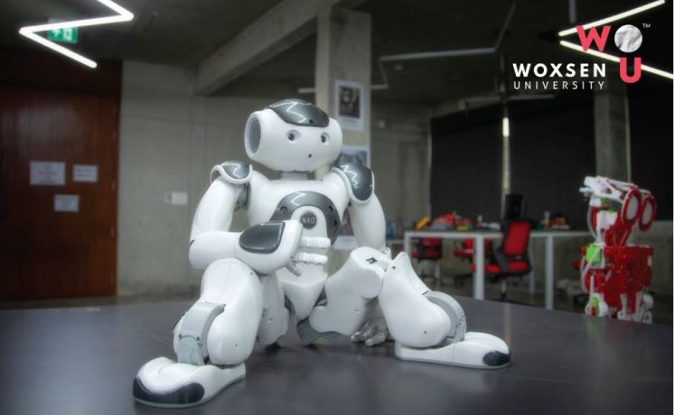 Woxsen University Robotics