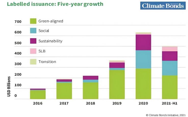 Labelled issuance; Five-year growth